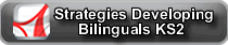 Strategies for developing Bilinguals KS2
